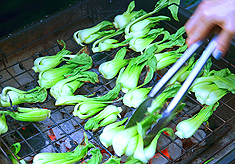 FOR MARRIAGE EQUALITY